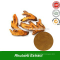 Rhabarber-Wurzel-Extrakt-Pulver reich an Chrysophanol-Extrakt aus chinesischen traditionellen Kräutern Rheum officinale
